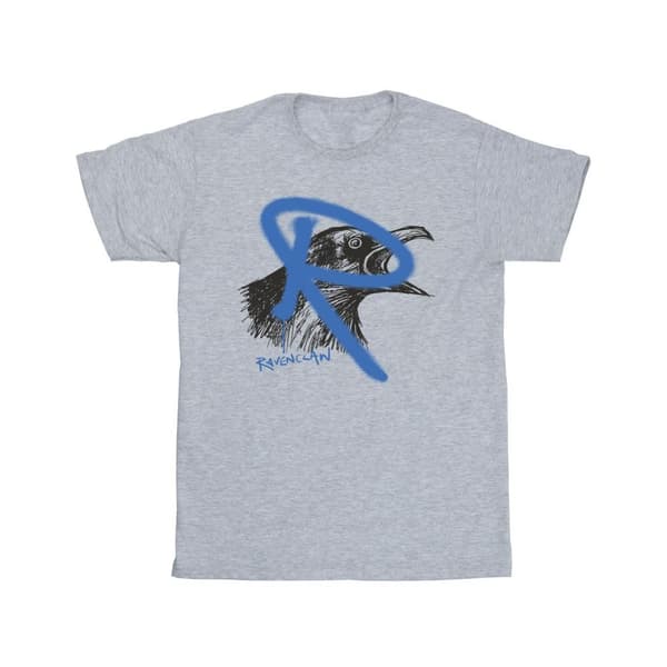 Harry Potter Ravenclaw Pop Spray T-shirt för pojkar