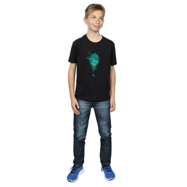 Harry Potter Pojkar Hogwarts Crest Mist T-shirt