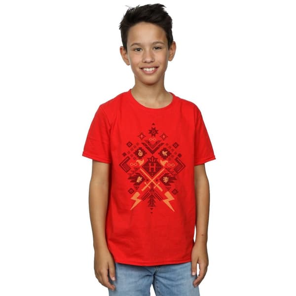 Harry Potter Boys Christmas Fair Isle T-Shirt