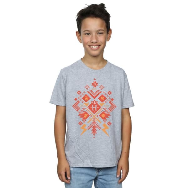 Harry Potter Boys Christmas Fair Isle T-Shirt