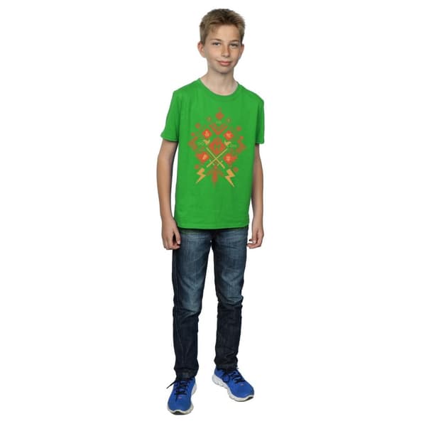 Harry Potter Boys Christmas Fair Isle T-Shirt