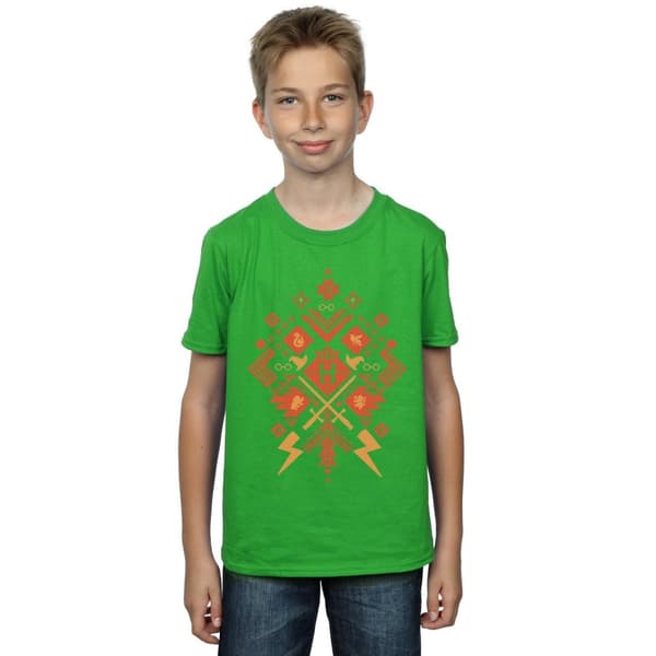 Harry Potter Boys Christmas Fair Isle T-Shirt