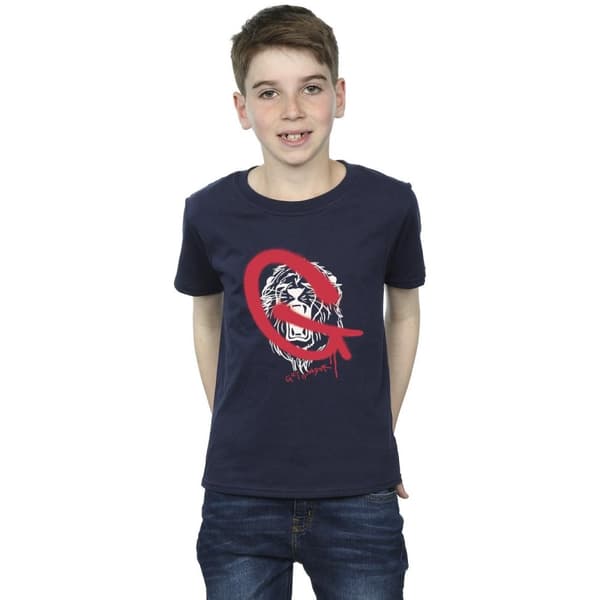 Harry Potter Boys Gryffindor Pop Spray T-Shirt