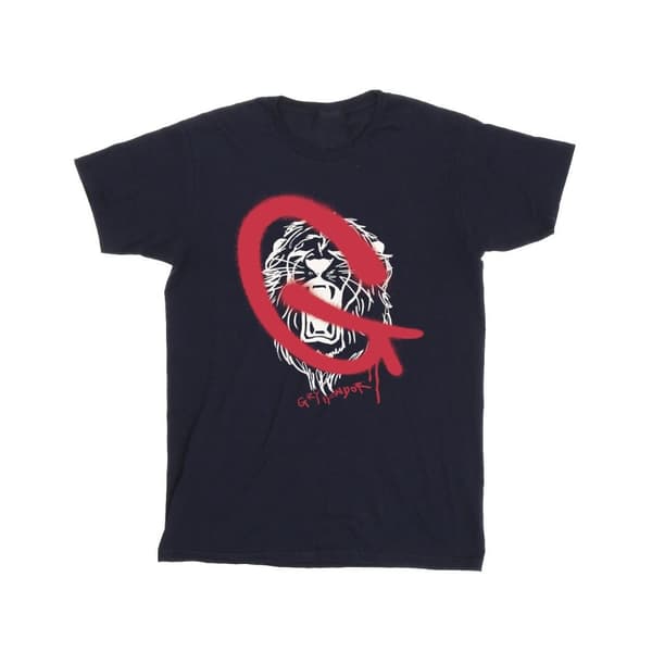 Harry Potter Boys Gryffindor Pop Spray T-Shirt