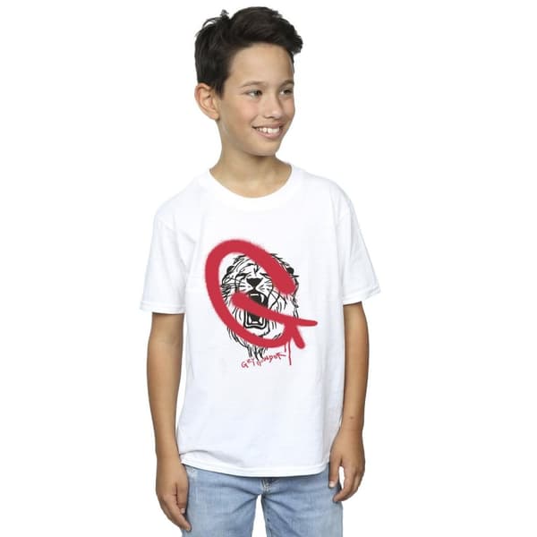 Harry Potter Boys Gryffindor Pop Spray T-Shirt