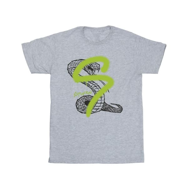 Harry Potter Pojkar - Slytherin Pop Spray T-shirt