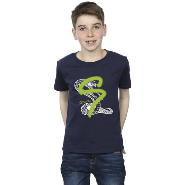 Harry Potter Pojkar - Slytherin Pop Spray T-shirt