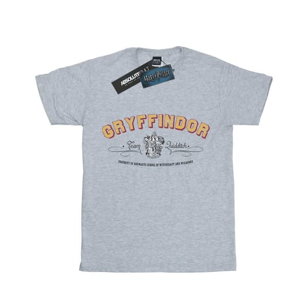 Harry Potter Boys Gryffindor Team Quidditch T-Shirt