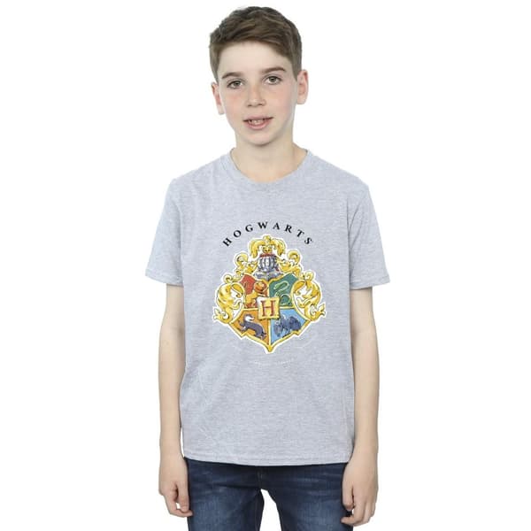 Harry Potter T-shirt med Hogwarts skolemblem för pojkar