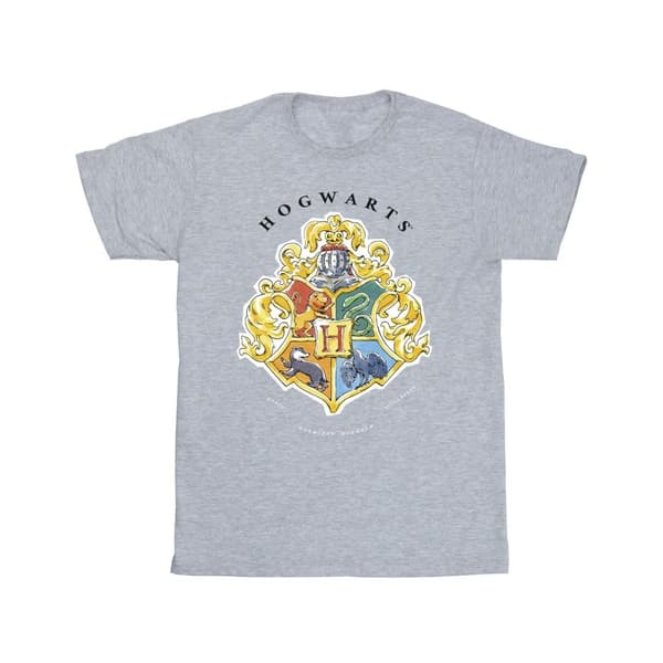Harry Potter T-shirt med Hogwarts skolemblem för pojkar Sports Grey 3-4 Years