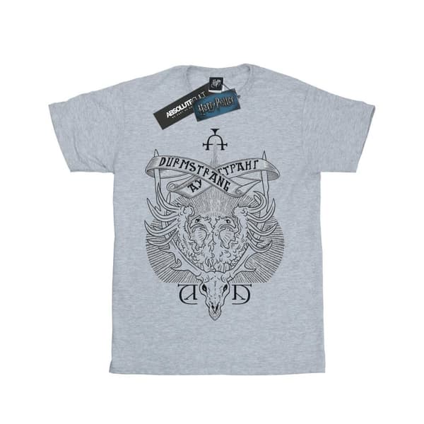 Harry Potter T-shirt med Durmstrang-institutets vapensköld för pojkar Sports Grey 5-6 Years