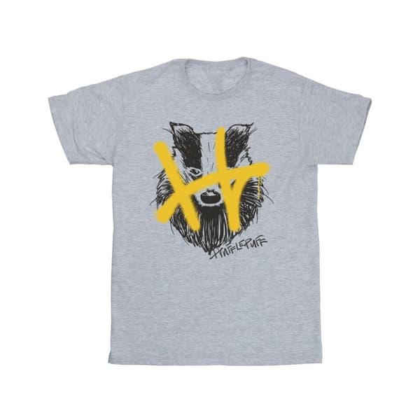Harry Potter Hufflepuff Pop Spray T-shirt för herrar
