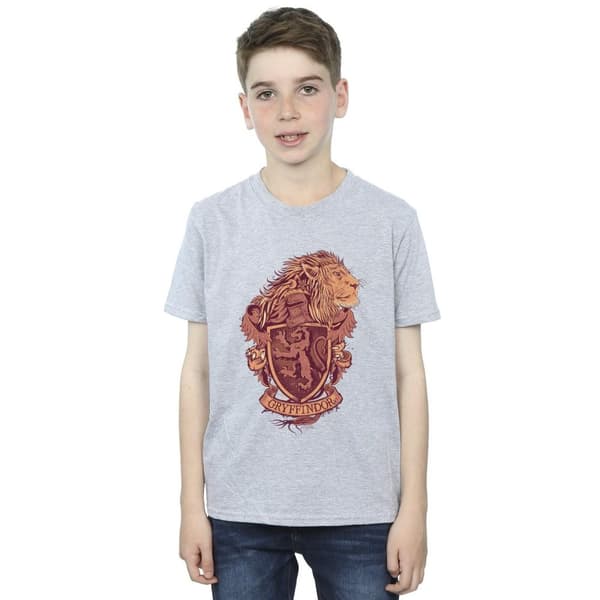 Harry Potter Gryffindor Sketch Crest T-shirt för pojkar