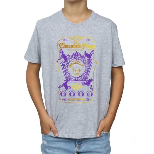 Harry Potter Pojkar - Chocolate Frogs T-shirt med färgad etikett
