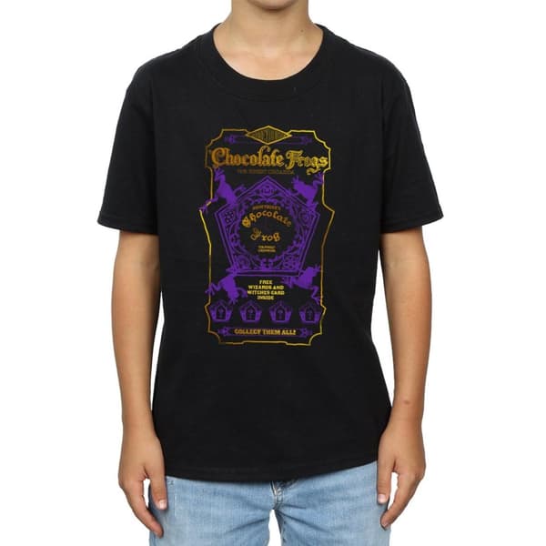 Harry Potter Pojkar - Chocolate Frogs T-shirt med färgad etikett