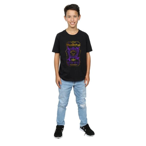 Harry Potter Pojkar - Chocolate Frogs T-shirt med färgad etikett