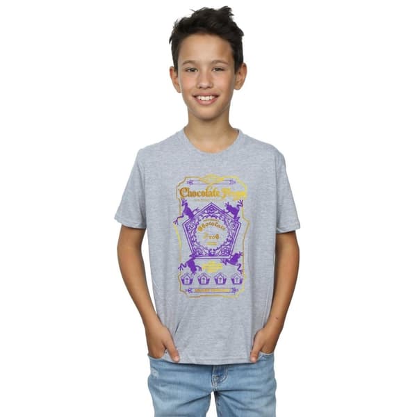 Harry Potter Pojkar - Chocolate Frogs T-shirt med färgad etikett