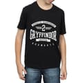 Miniatyrbillede 3 af 5: Harry Potter Boys Gryffindor Keeper T-Shirt
