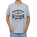Miniatyrbillede 3 af 5: Harry Potter Boys Gryffindor Keeper T-Shirt