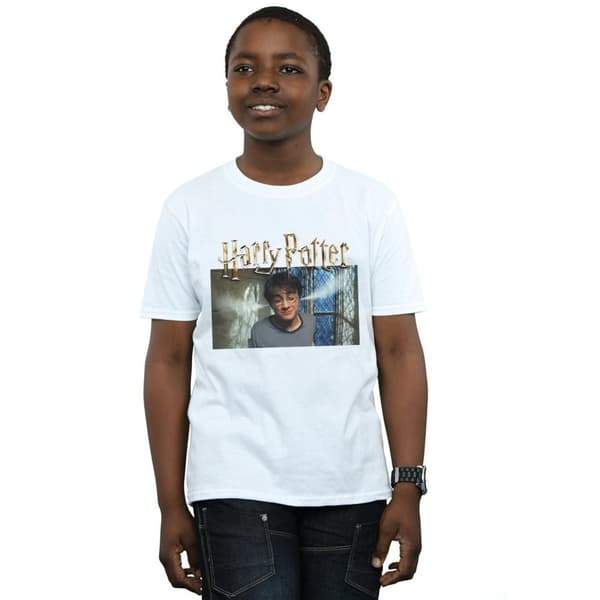 Harry Potter Boys Steam Ears T-Shirt