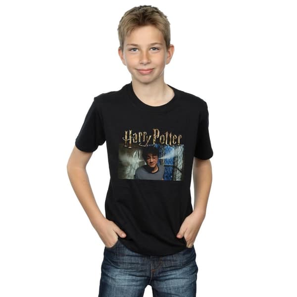 Harry Potter Boys Steam Ears T-Shirt