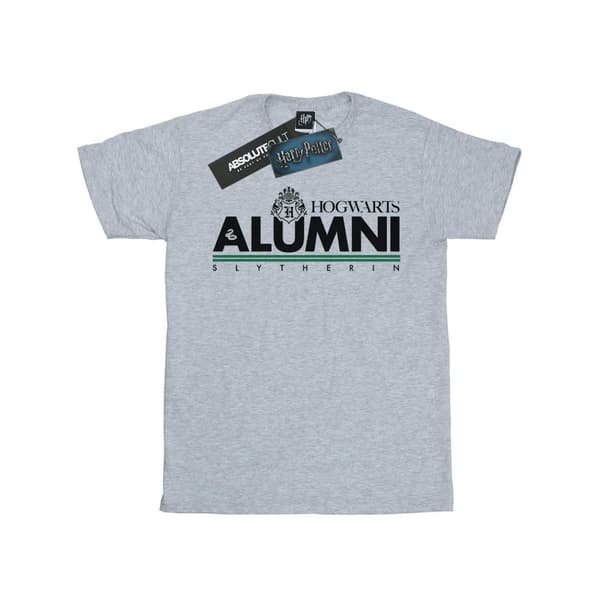 Harry Potter Mens Hogwarts Alumni Slytherin T-shirt Sports Grey XXL