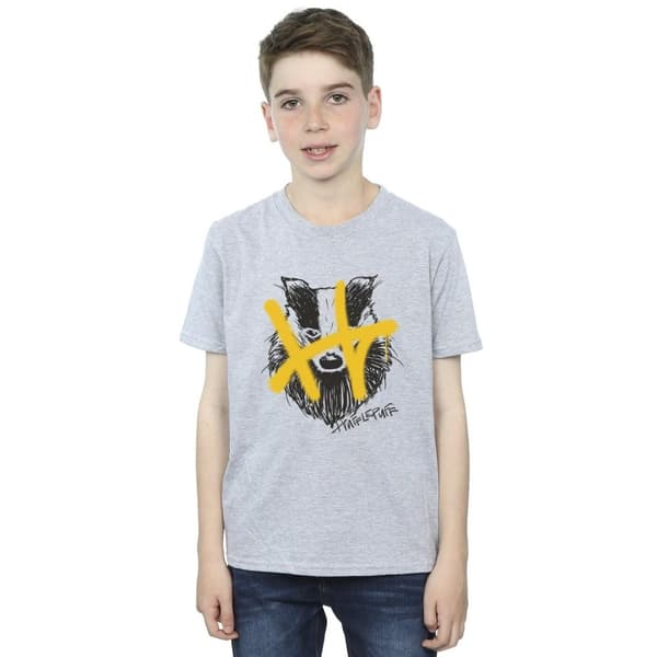 Harry Potter Boys Hufflepuff Pop Spray T-Shirt