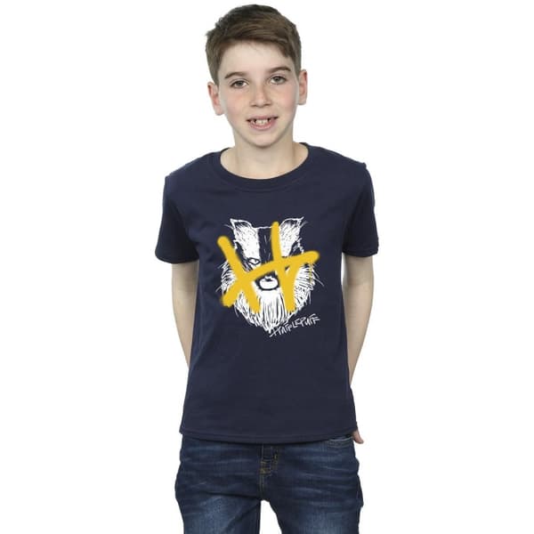 Harry Potter Boys Hufflepuff Pop Spray T-Shirt