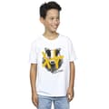 Miniatyrbillede 2 af 3: Harry Potter Boys Hufflepuff Pop Spray T-Shirt
