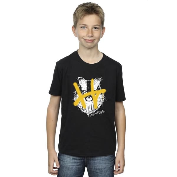 Harry Potter Boys Hufflepuff Pop Spray T-Shirt