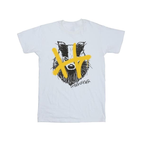 Harry Potter Boys Hufflepuff Pop Spray T-Shirt