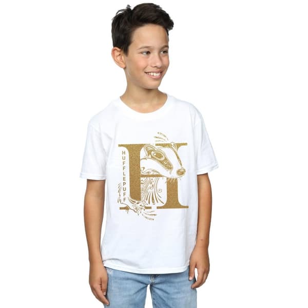 Harry Potter Boys Hufflepuff Glitter T-Shirt