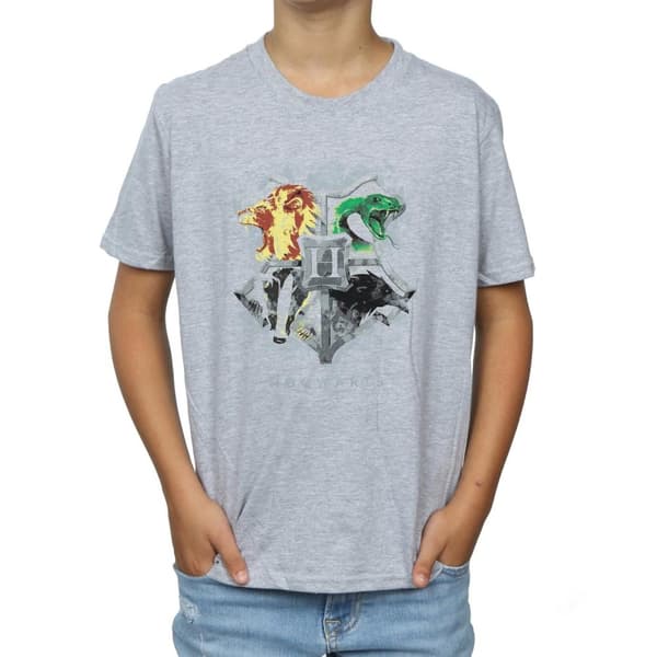 Harry Potter Pojkar - Hogwarts t-shirt med målad vapensköld