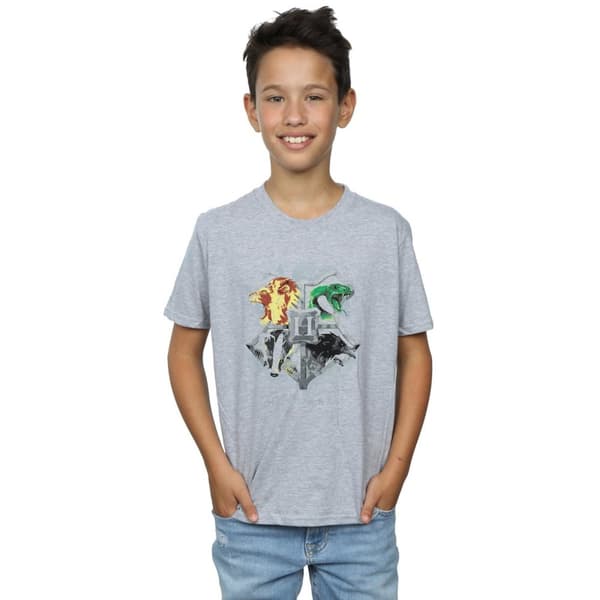 Harry Potter Pojkar - Hogwarts t-shirt med målad vapensköld