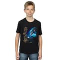 Miniatyrbild 2 av 3: Harry Potter T-shirt - Smiles At Hogwarts för pojkar