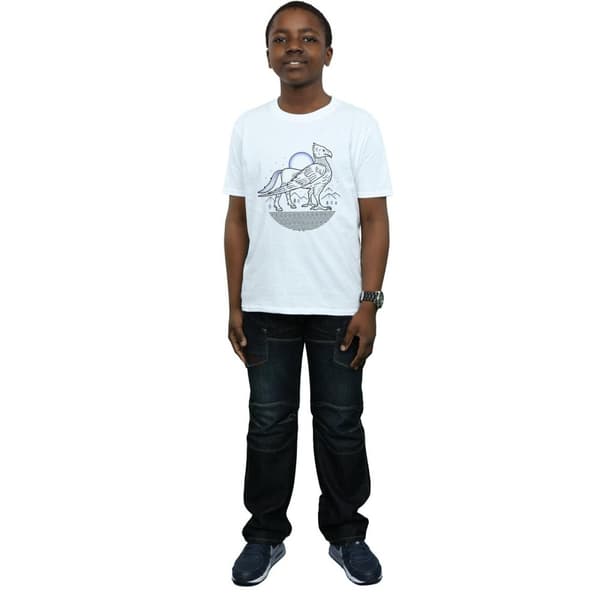 Harry Potter Boys Buckbeak Line Art T-Shirt