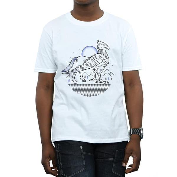 Harry Potter Boys Buckbeak Line Art T-Shirt