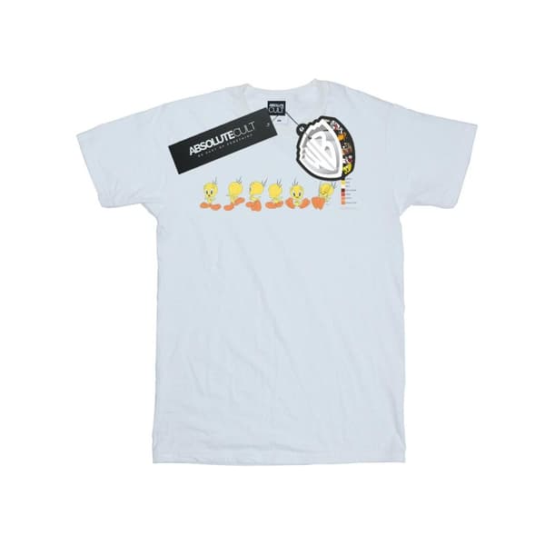 Looney Tunes Dam/Tjej Tweety Pie Färgkod Bomull Boyfriend T-shirt