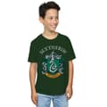 Miniatyrbilde 2 av 3: Harry Potter Boys Slytherin Crest T-Shirt