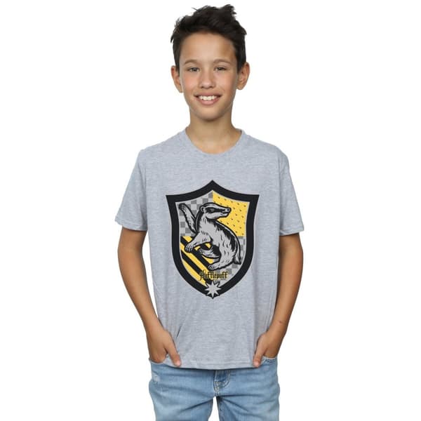 Harry Potter Boys Hufflepuff Crest Flat T-Shirt