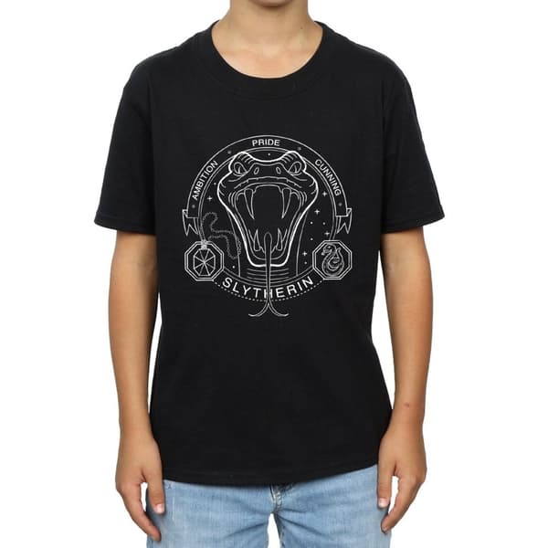 Harry Potter Boys Slytherin Seal T-Shirt
