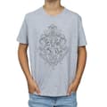 Miniatyrbillede 3 af 5: Harry Potter Boys Hogwarts Draco Dormiens Crest T-Shirt