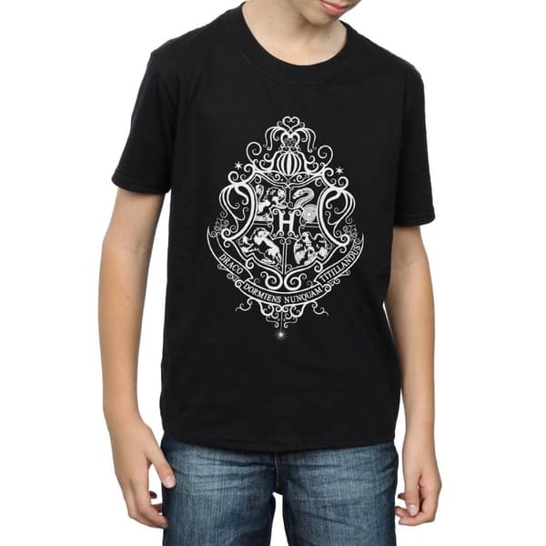 Harry Potter Boys Hogwarts Draco Dormiens Crest T-Shirt