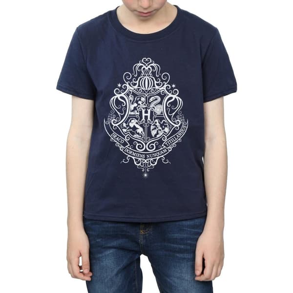 Harry Potter Boys Hogwarts Draco Dormiens Crest T-Shirt
