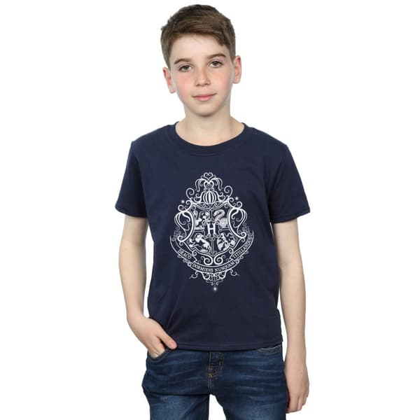 Harry Potter Boys Hogwarts Draco Dormiens Crest T-Shirt