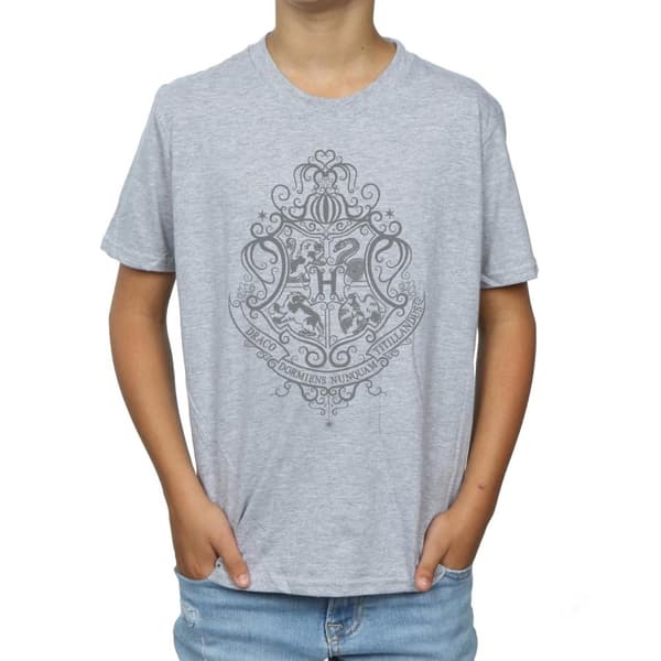 Harry Potter Boys Hogwarts Draco Dormiens Crest T-Shirt