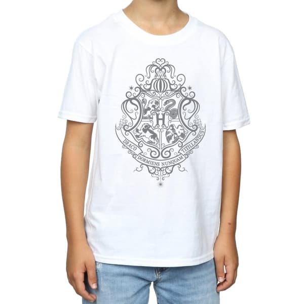 Harry Potter Boys Hogwarts Draco Dormiens Crest T-Shirt