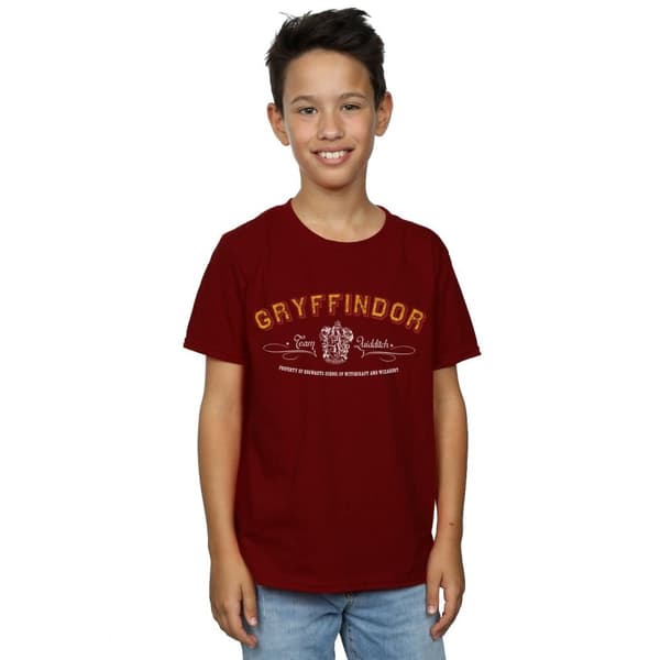 Harry Potter Boys Gryffindor Team Quidditch T-Shirt