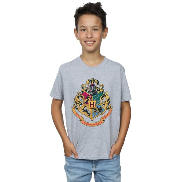 Harry Potter T-shirt med guldfärgat bläck för pojkar - Hogwarts Crest