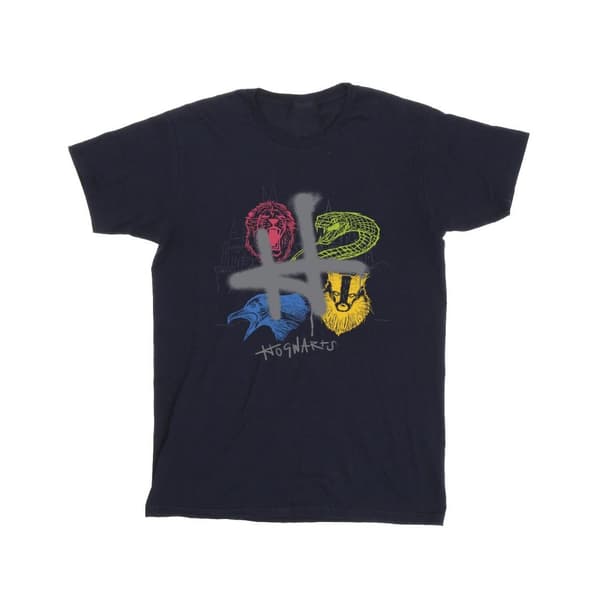 Harry Potter Mens Emblems H Spray T-Shirt